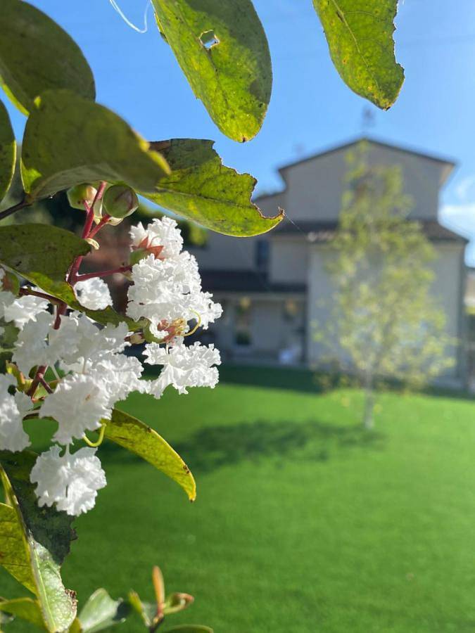 Double Room with Private External Bathroom in Sona, Gardasee-Berge