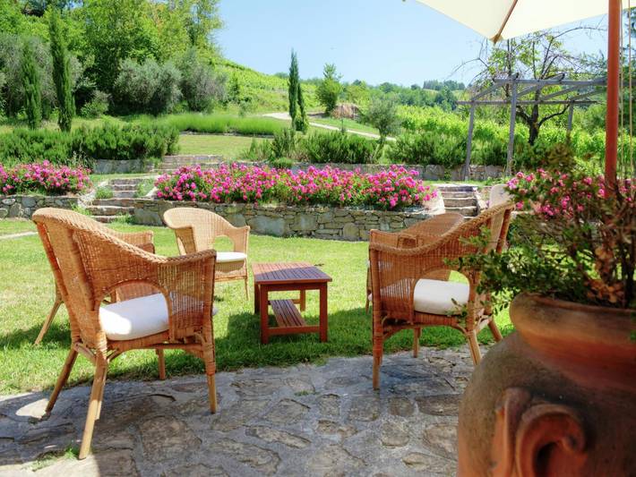 Maison à Modigliana avec piscine et vignobles in Modigliana, Province de Forlì-Cesena
