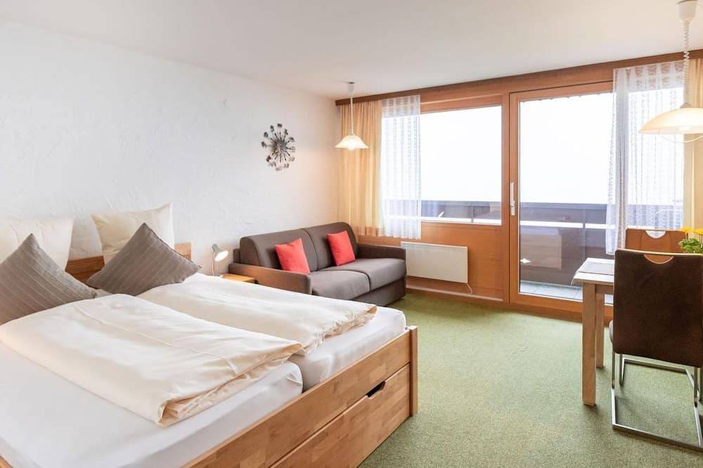 Ganze Wohnung, App für 2-3 Personen Top 9 - Sportappart Hochtannberg in Schröcken, Bregenzerwald