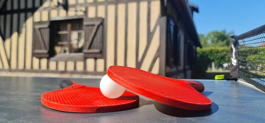 Location de vacances pour 10 personnes, avec jardin à Sainte-Opportune-la-Mare - 4