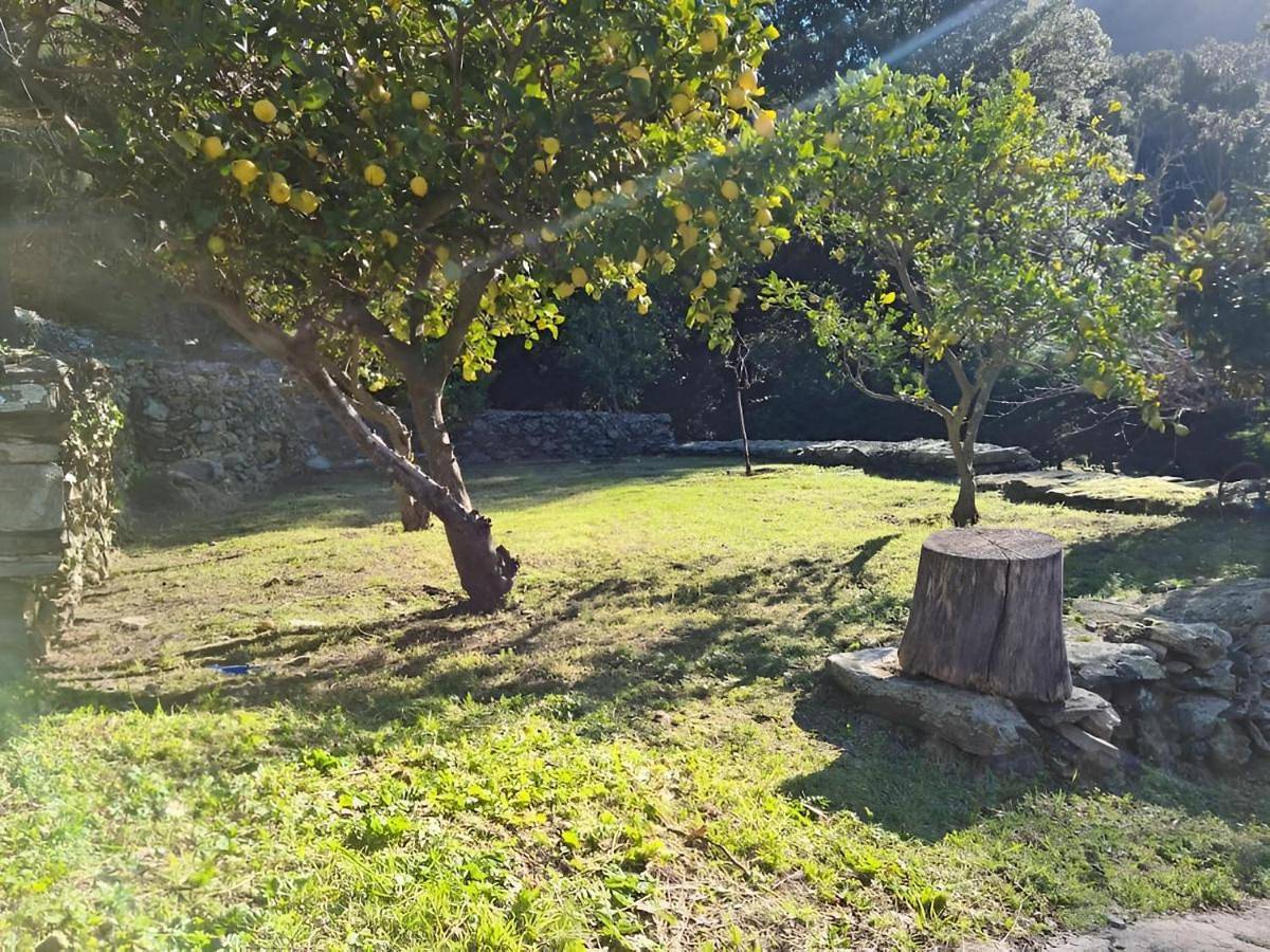 Les Terrasses du Maquis in Nonza, Cap Corse