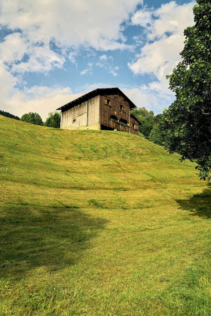 Apartahotel para 8 personas, Se admiten mascotas en Suiza