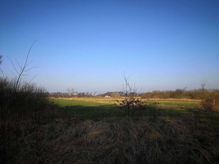 Ferienwohnung für 2 Personen, mit Terrasse und Garten in Graal-Müritz - 3