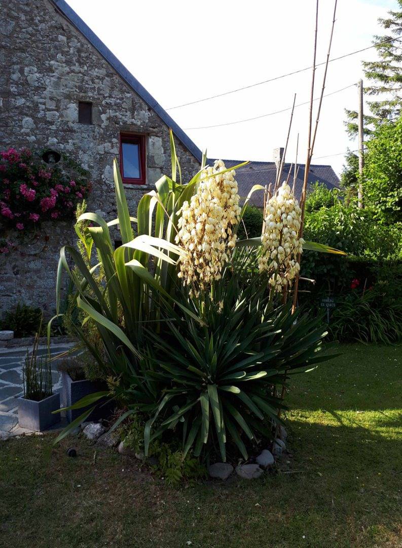 Gîte entre Terre et Mer in Saint-Germain-le-Gaillard, Côte de la Déroute
