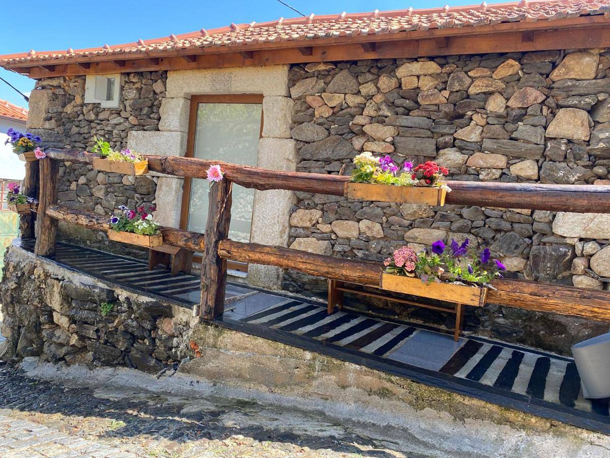 One-Bedroom House in Lamego, Vale do Douro