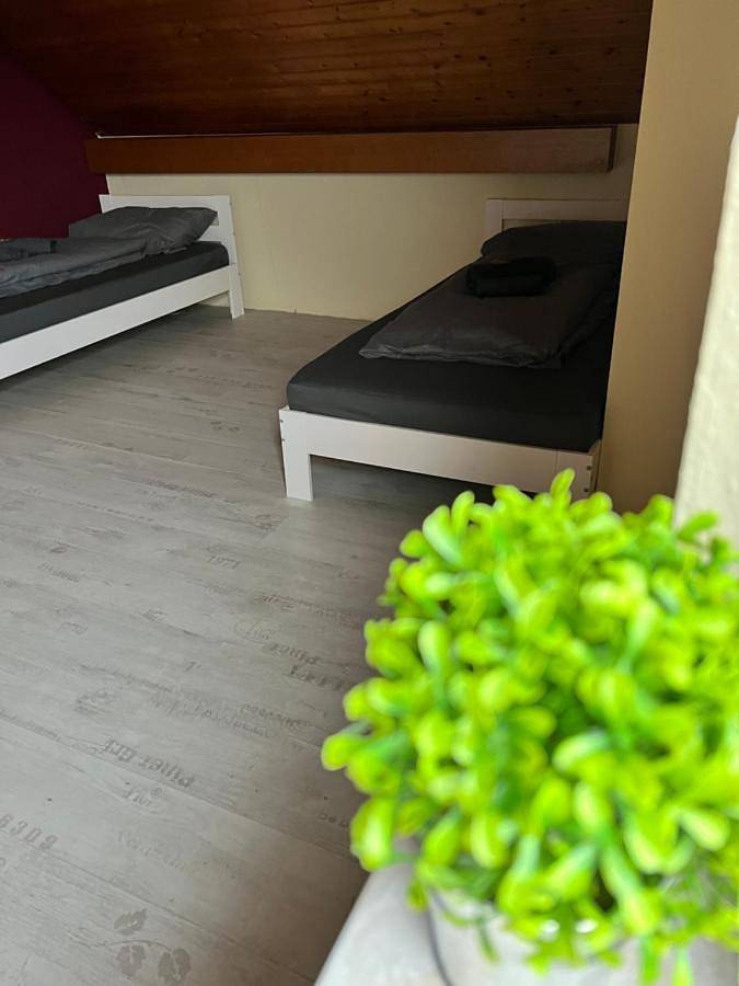 Gîte pour 6 personnes, avec jardin à Rheinau - 2