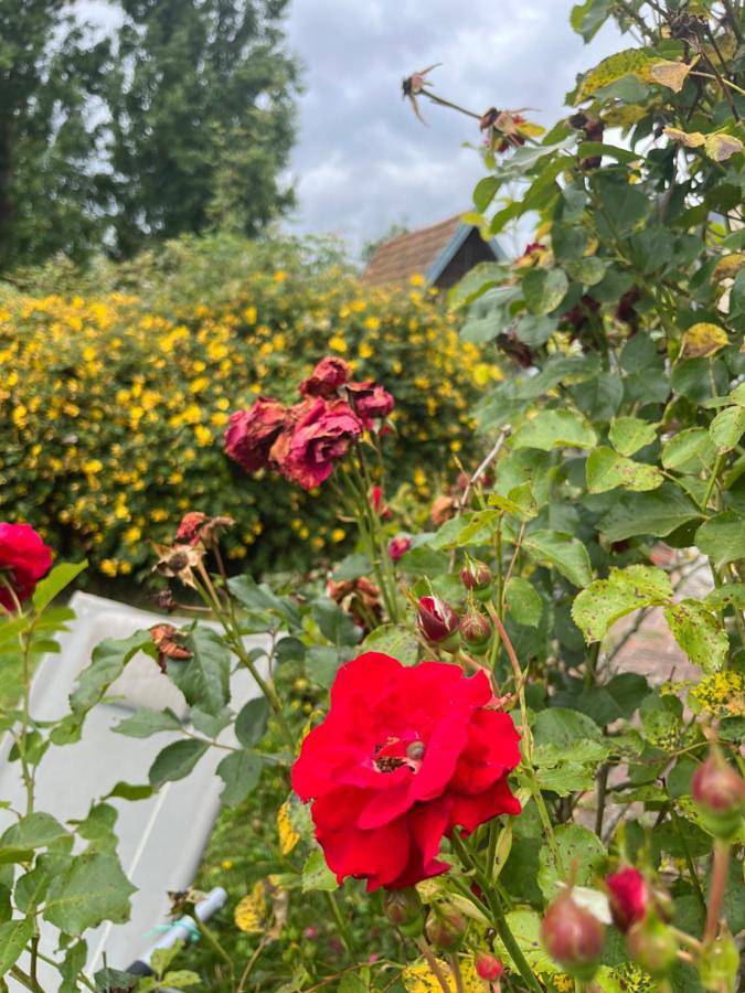 Gîte pour 4 personnes, avec vue et jardin à Saint-Philbert-des-Champs - 2