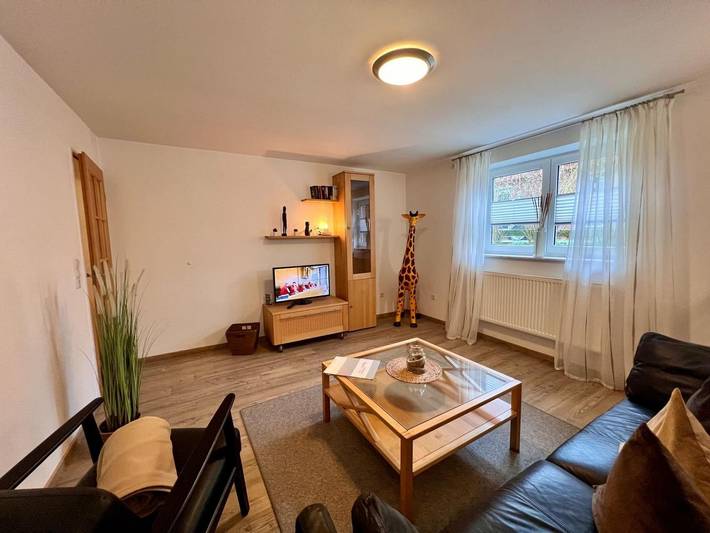 Ganze Ferienwohnung, Fewo Nr. 1 in Borkum