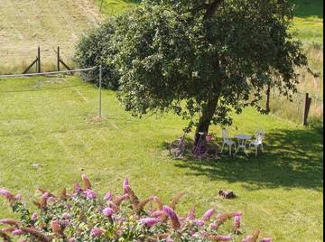 Gîte pour 6 personnes, avec terrasse et jardin, animaux acceptés en Moselle