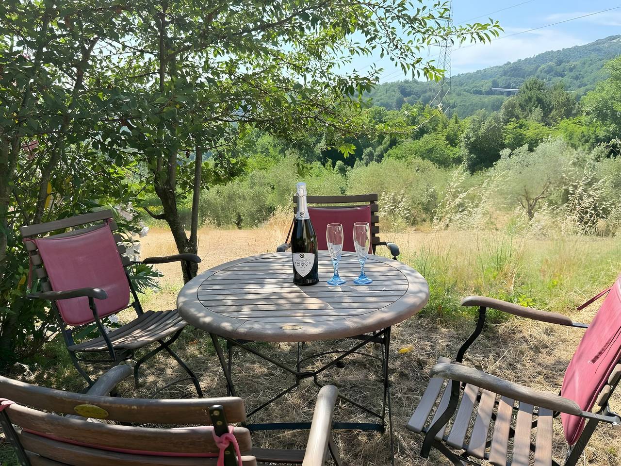 Gästehaus Podere Boschetto Moroni mit Olivenhain, Meerblick, Parkplätzen und Wlan in Massa Marittima, Grosseto Provinz