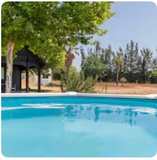 Casa rural para 6 personas, con jardín además de piscina y vistas en Parque nacional y natural de Doñana - 2