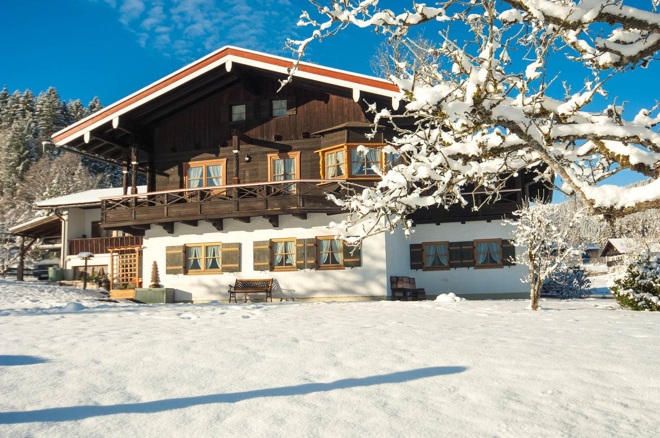 Appartamento vacanze a Watzmann a partire da 146€ a notte
