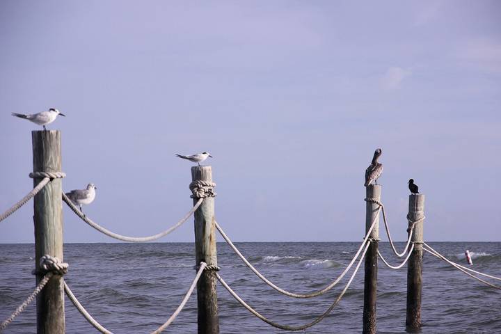 Vacation rental for 4 people, with balcony and pool in Indian Shores