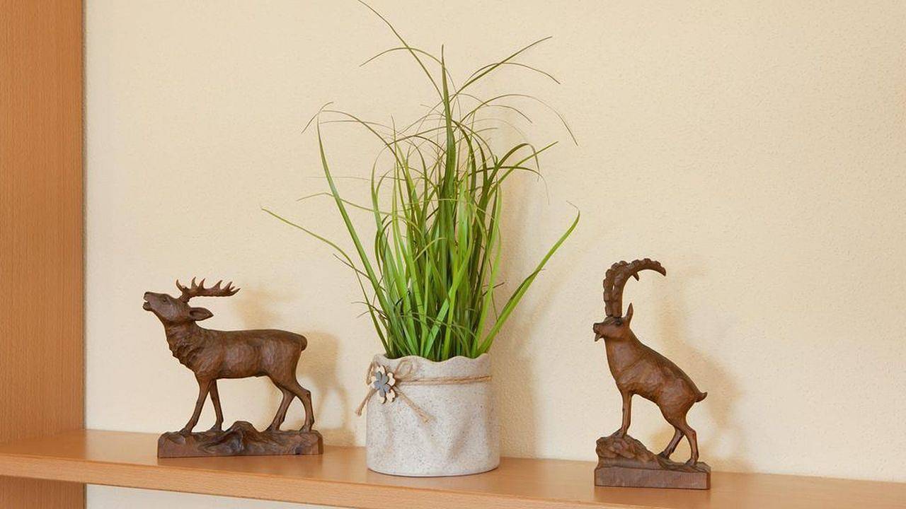 Ganze Ferienwohnung, Ferienwohnung für 4 Personen (60 m²) in Rieden am Forggensee in Rieden, Bayerisch Schwaben