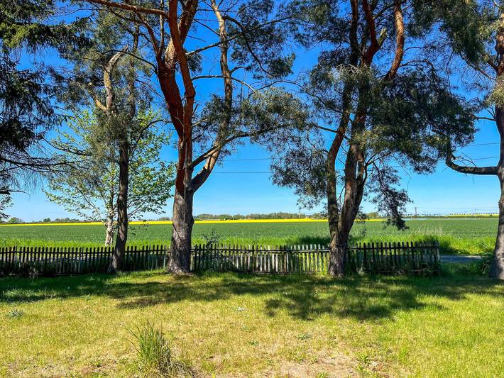 Ferienwohnung für 4 Personen, mit Terrasse und Garten, kinderfreundlich in Saal - 4