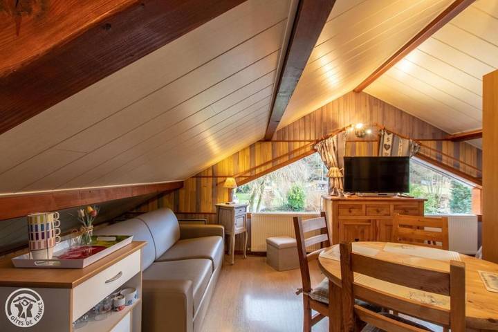 Location de vacances pour 3 personnes, avec piscine et vue ainsi que sauna et jardin à Doussard - 4