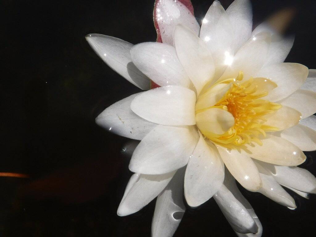 Großzügige Aussicht in Lincoln County (Maine)