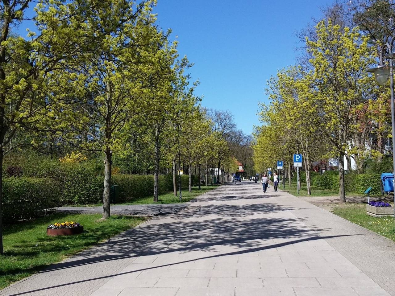 Entire apartment, Appartement Nr.7 in Bad Saarow, Dahme-Seengebiet