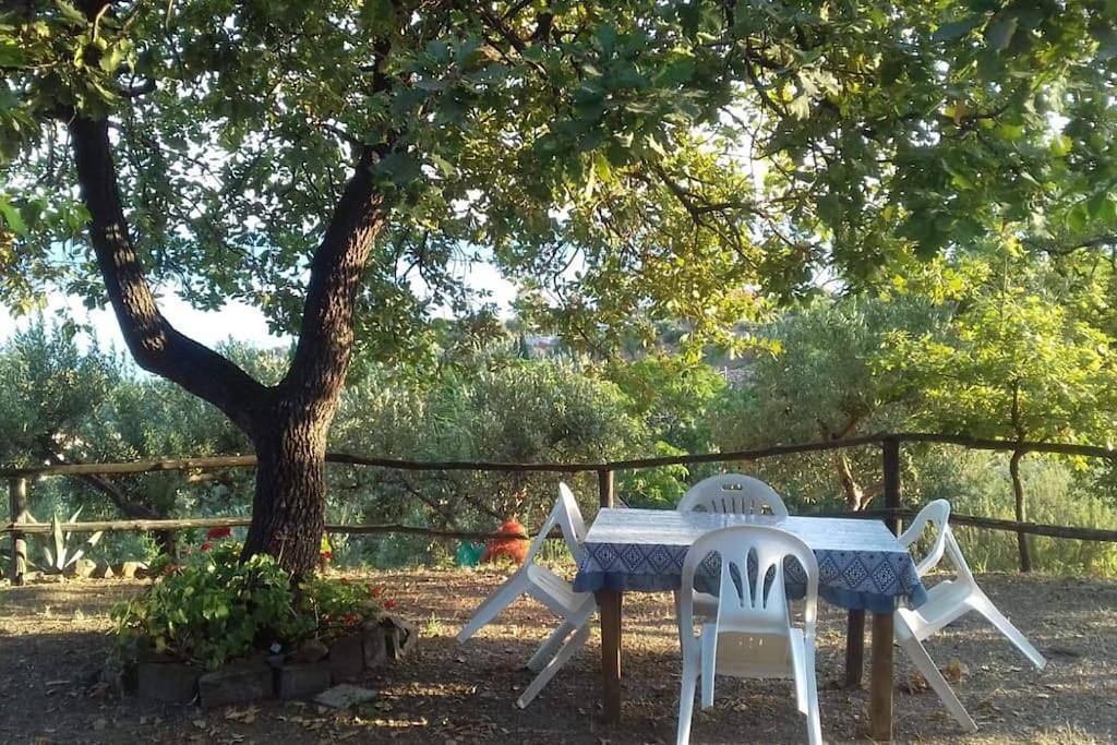 Lo Chalet di Ingrid in Cilento Coast