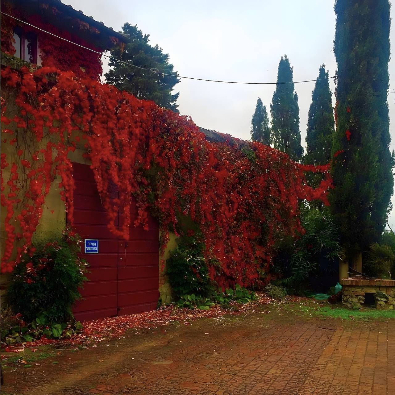 Appartamento intero, Agriturismo “Fattoria Bellosguardo”, appartamento 'mangiatoia' in Castelfiorentino, Firenze province