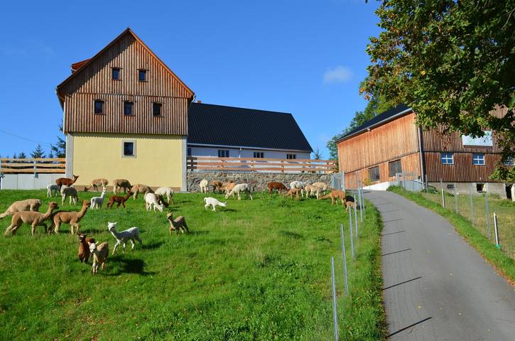 Ferienhaus für 9 Personen, mit Sauna und Terrasse in Frauenstein