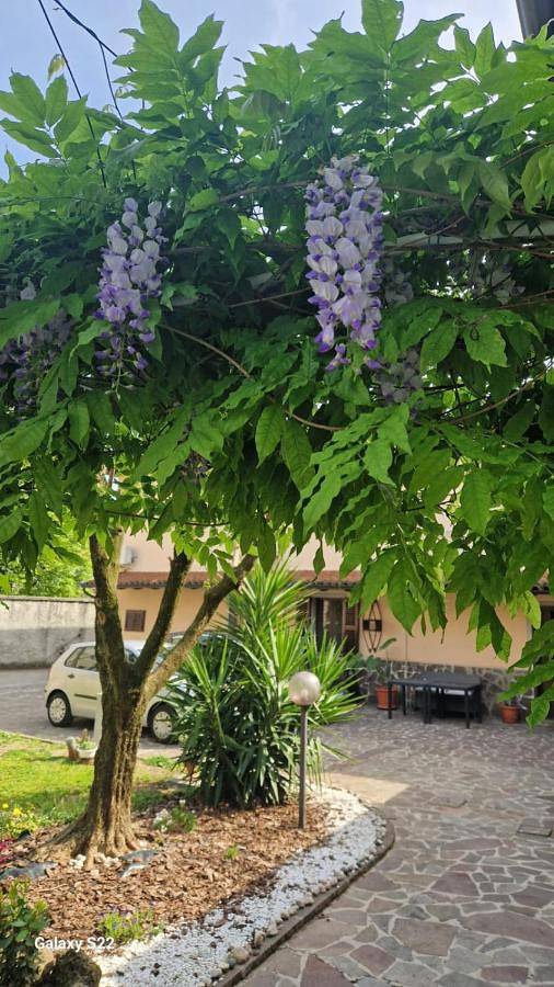 Chambre d’hôte pour 2 personnes, avec Balcon et Jardin à Passirano - 4