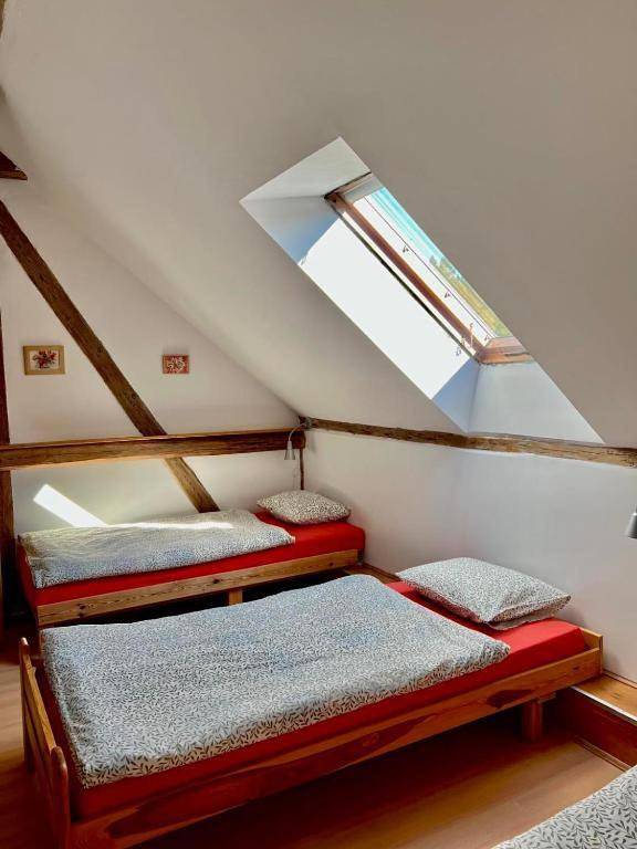 Maison d’hôte pour 20 personnes, avec jardin ainsi que vue sur le lac et vue en Pologne - 4