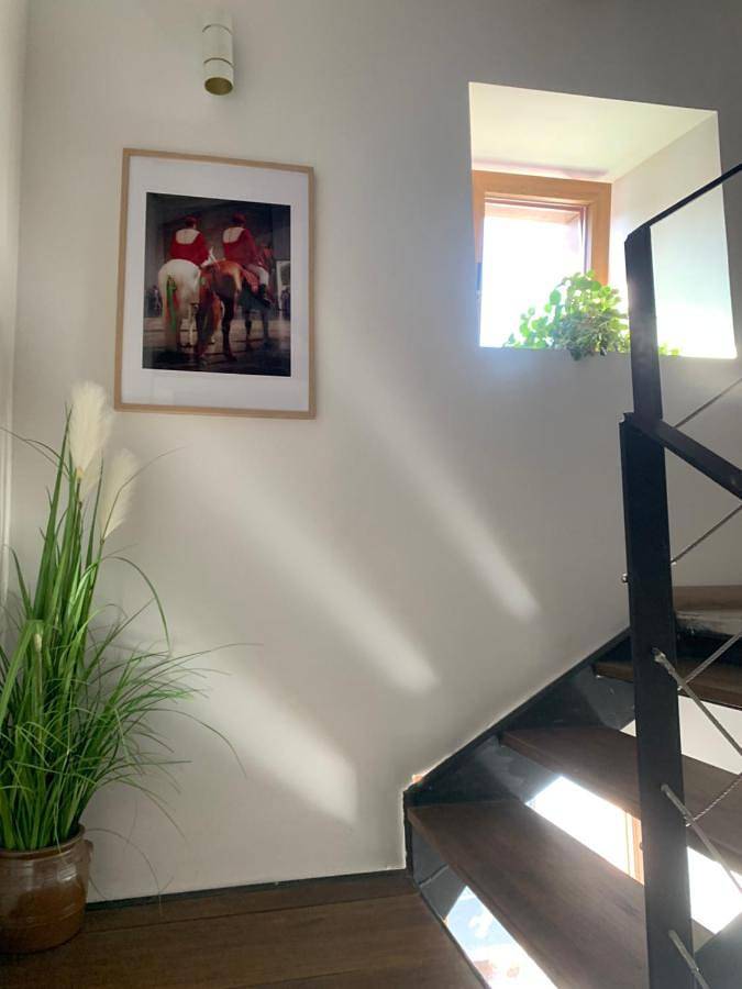 Apartamento de vacaciones para 2 personas, con terraza, Se admiten mascotas en Navarra - 3