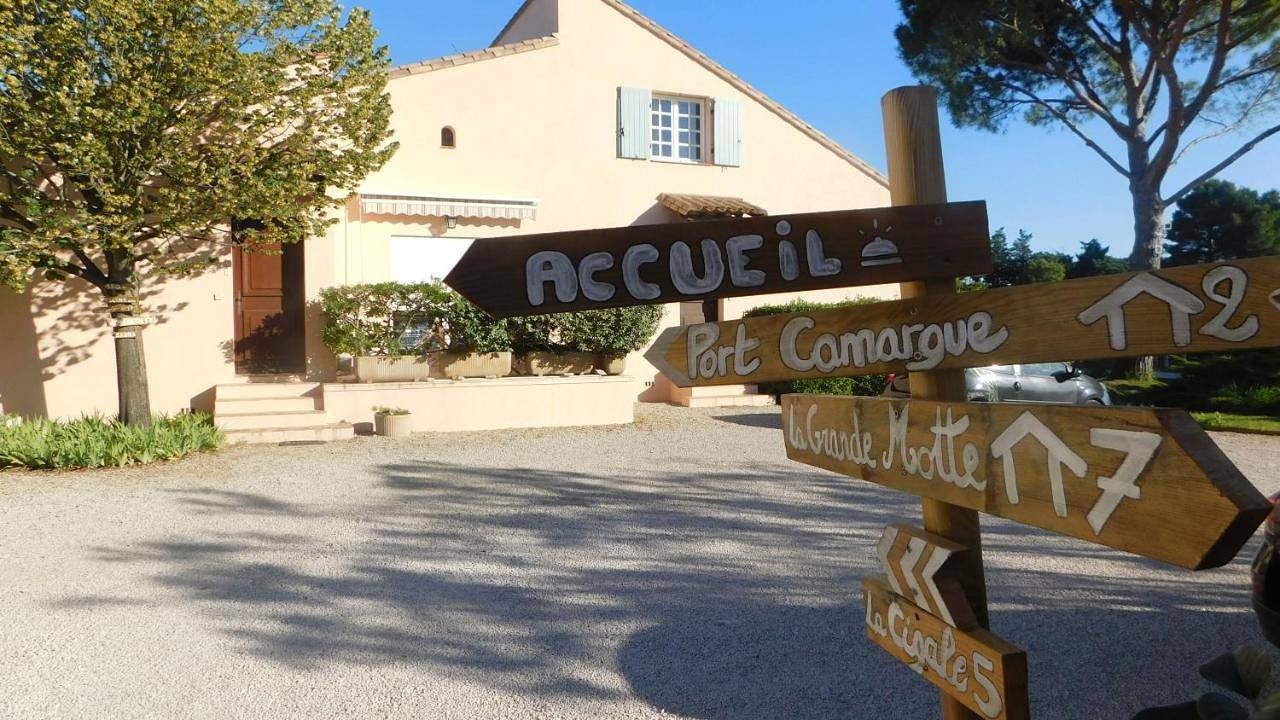 Les Bougainvillées de Camargue in Villetelle, Côte méditerranéenne (France)
