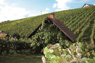 B&b für 2 Personen in Steirerland, Oststeiermark, Bild 4
