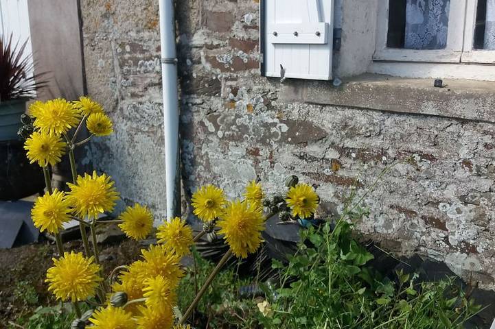 Location de vacances pour 3 personnes à Locarn - 4