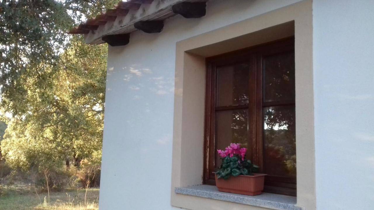 Agriturismo La tanca in Berchiddeddu, Olbia
