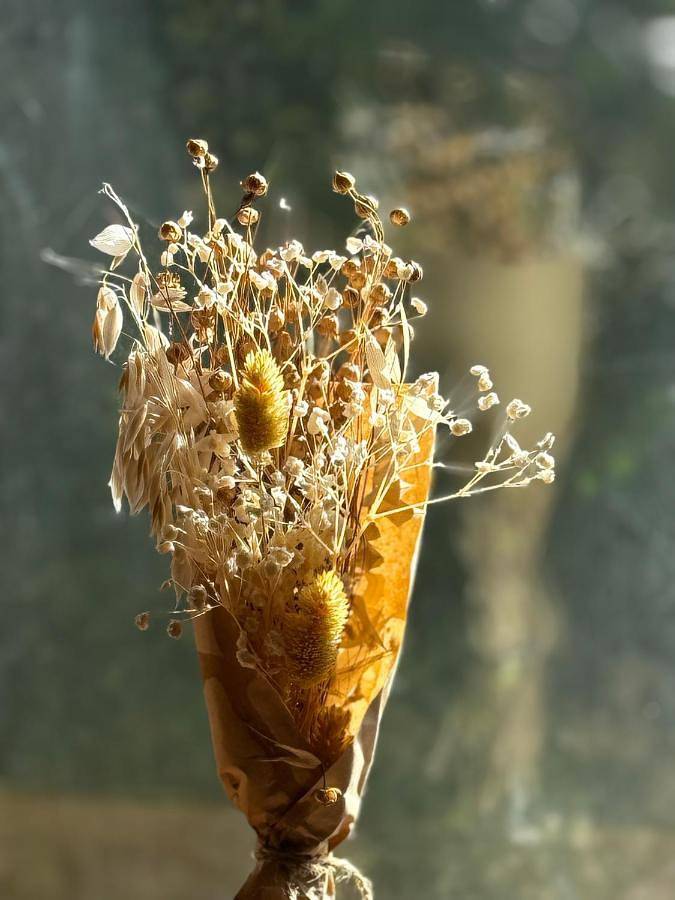 Location de vacances pour 4 personnes, avec vue et jardin à Andenne - 3