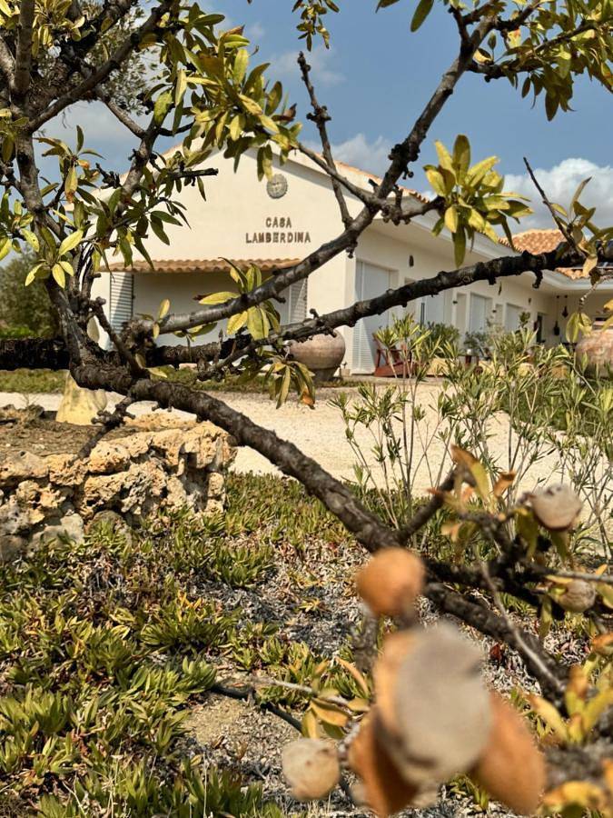 Location de vacances pour 2 personnes, avec jardin ainsi que piscine et vue à Lorca - 3