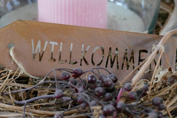 Ganze Ferienwohnung, Haus Polzin - 2-Raum-Fewo in Büsumer Deichhausen, Kreis Dithmarschen