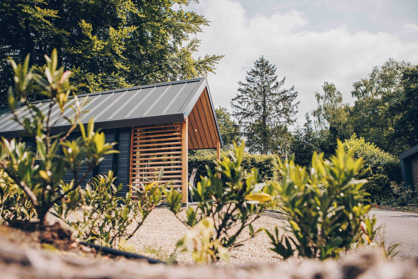 Veluwepark de Bosgraaf — Tiny Loft | 4 personen in Veluwe