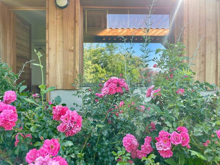 Gîte pour 11 personnes, avec vue ainsi que terrasse et jardin, animaux acceptés à Domaize - 3