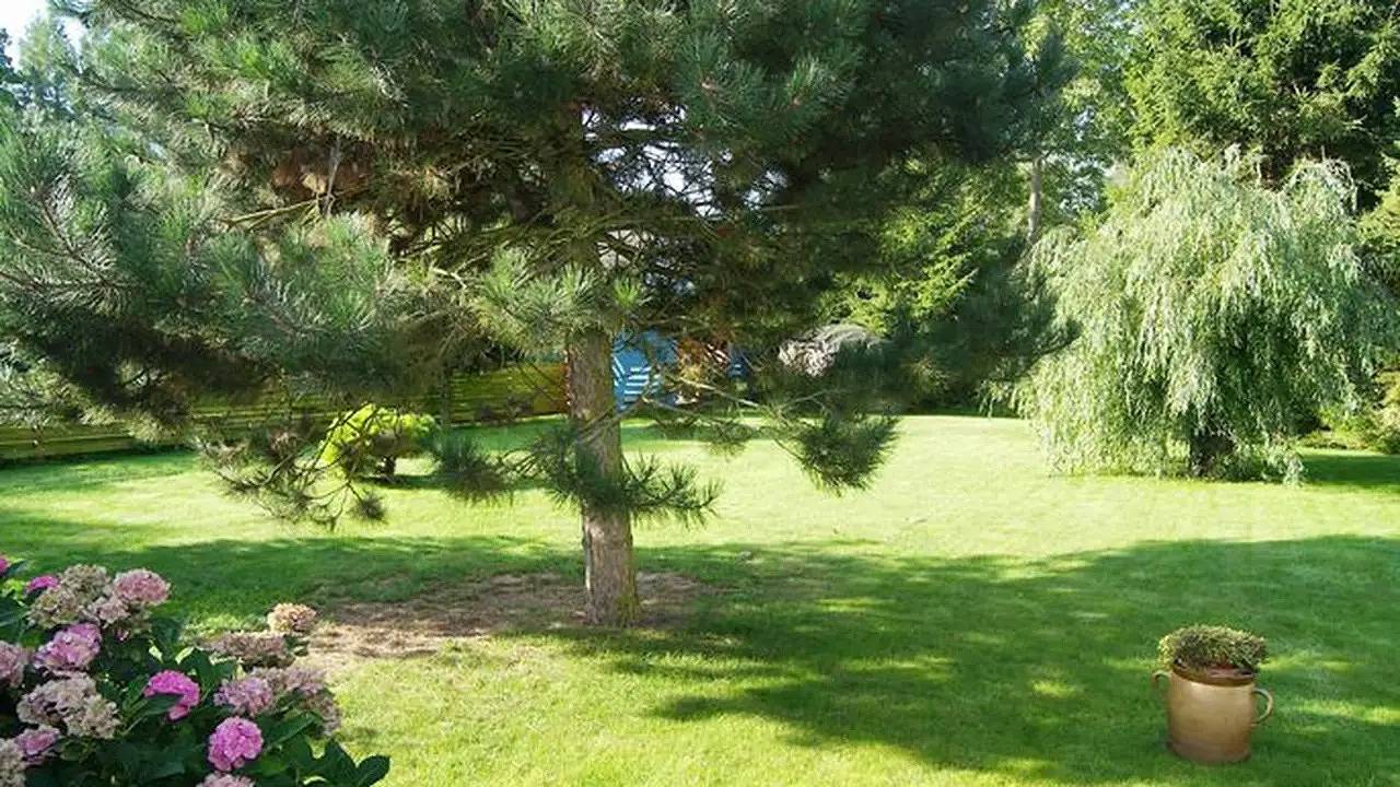 Appartement de vacances entier, Ferienwohnung für 4 Personen (47 m²) in Krummin in Krummin, Usedomer Norden