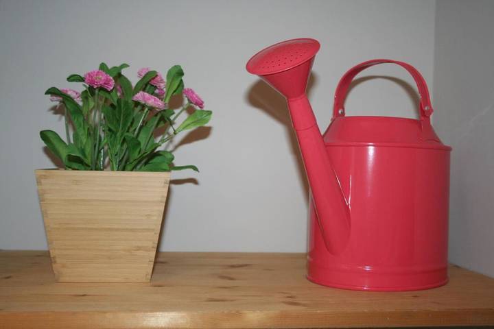 Chambre d’hôte pour 5 personnes, avec terrasse à Orvieto - 4