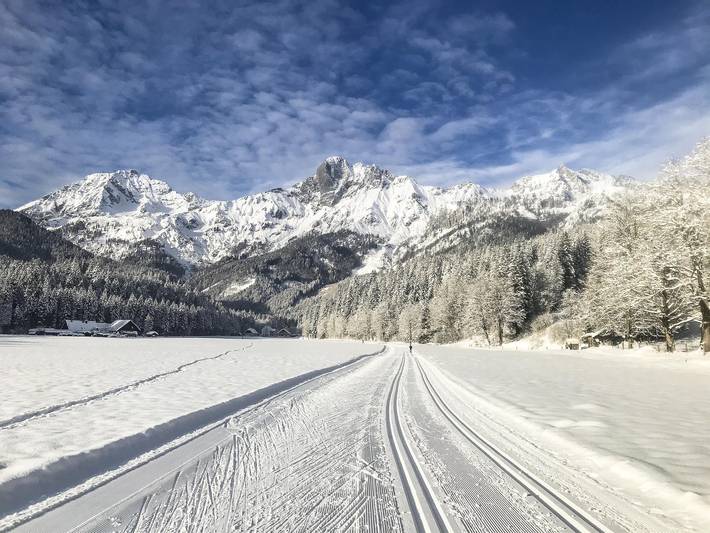 Ferienhaus für 5 Personen, mit Garten in Österreich - 2