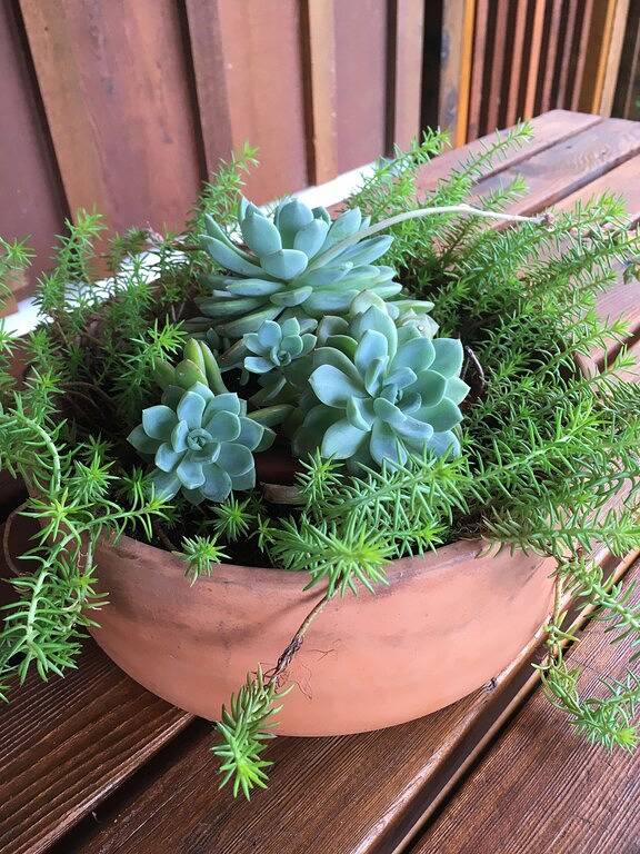 Ocean Front, spektakuläre Aussicht, wenige Minuten von Sechelt, einem Sunshine Coast Hub! in Sechelt, Sunshine Coast Regional District