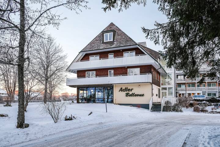 Ganze Wohnung, Apartment '10' mit Wlan in Hinterzarten, Südschwarzwald