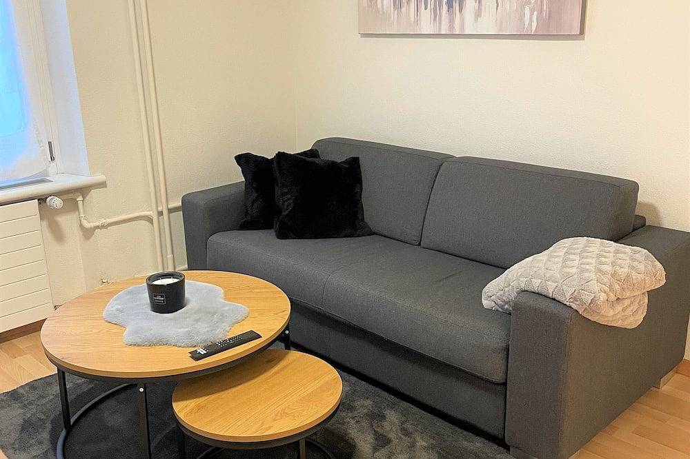 Entire apartment, Cozy apartment in a prime location in Zurich district 4 in Zurich, Zurich district