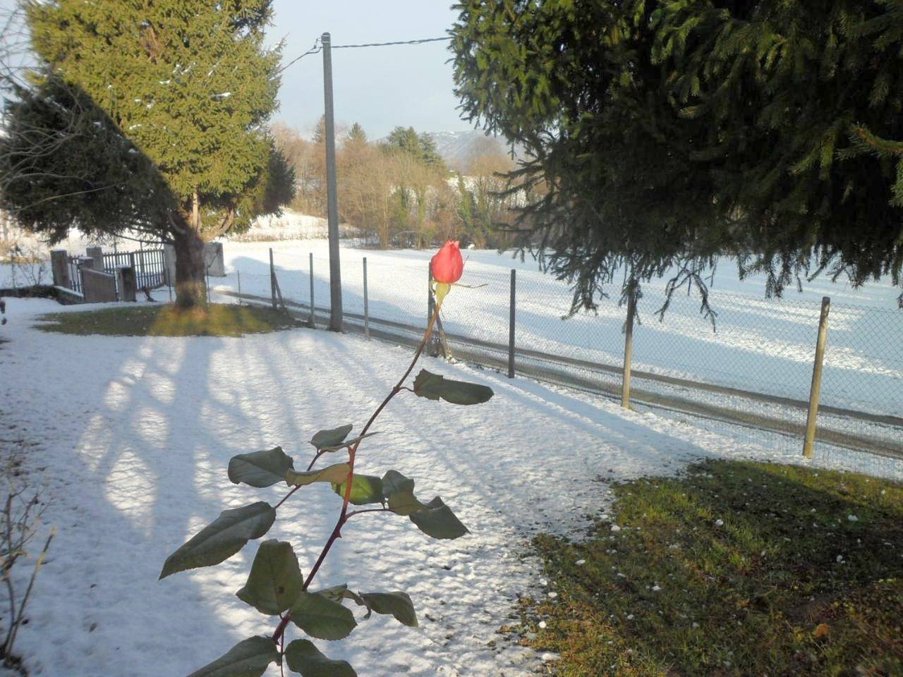 B&B Cuei di Baret in Tricesimo, Province d'Udine