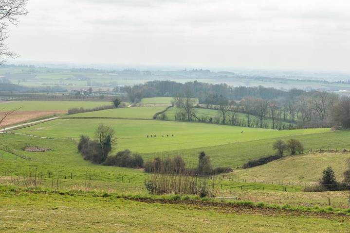 Location de vacances pour 6 personnes, avec vue et jardin, animaux acceptés à Heuvelland - 2