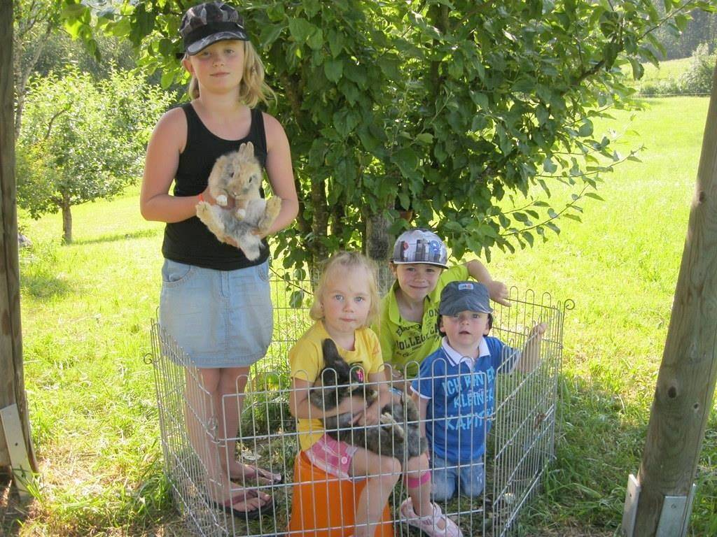 Ganze Ferienwohnung, Apartment"A" -1 Schlafzi/Dusche/Wcsep.Blk, in Schwendt, Kaiserwinkl