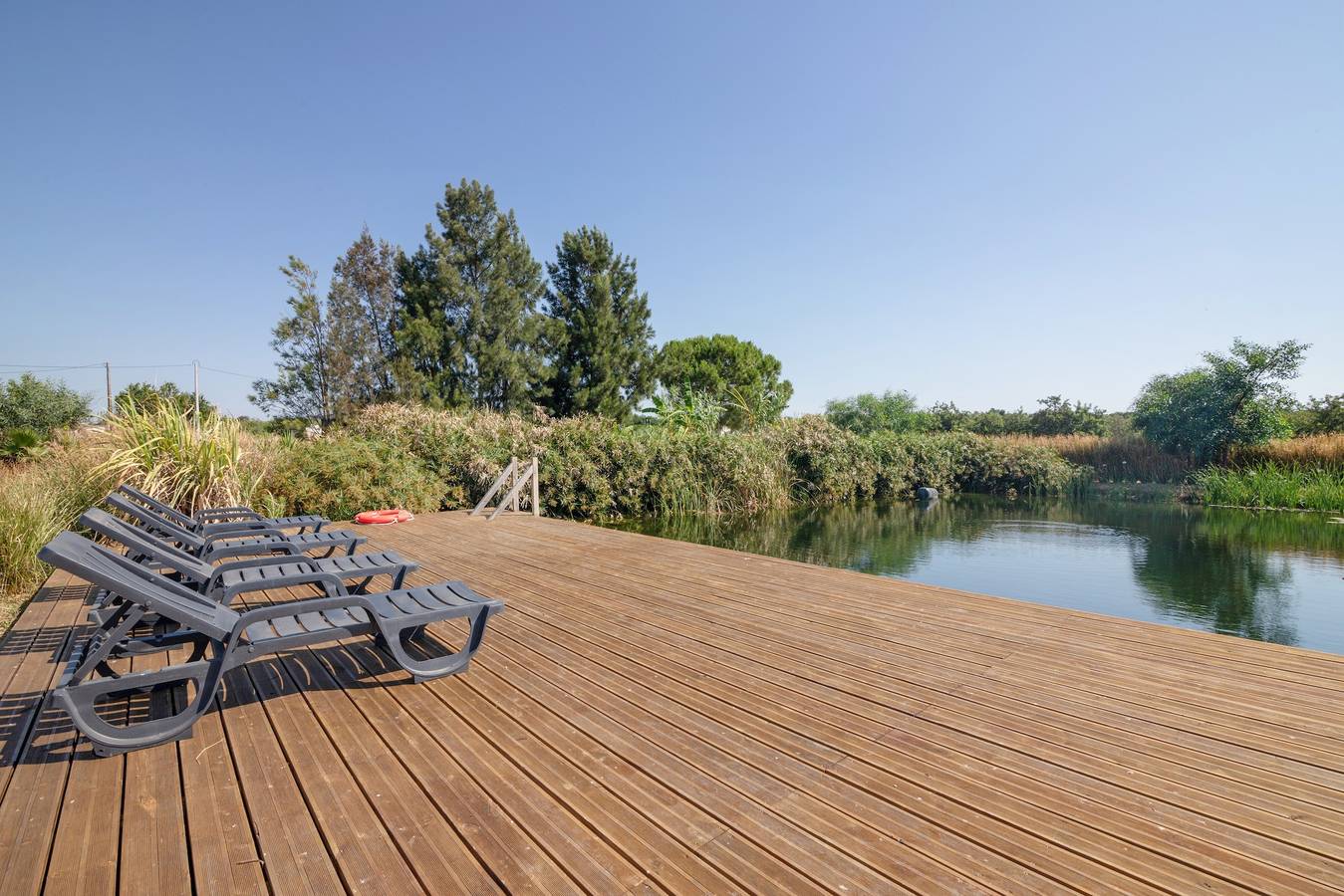 Estudio entero, Luminoso cottage en el Algarve con yoga, pilates y estanque natural in Moncarapacho, Ria Formosa