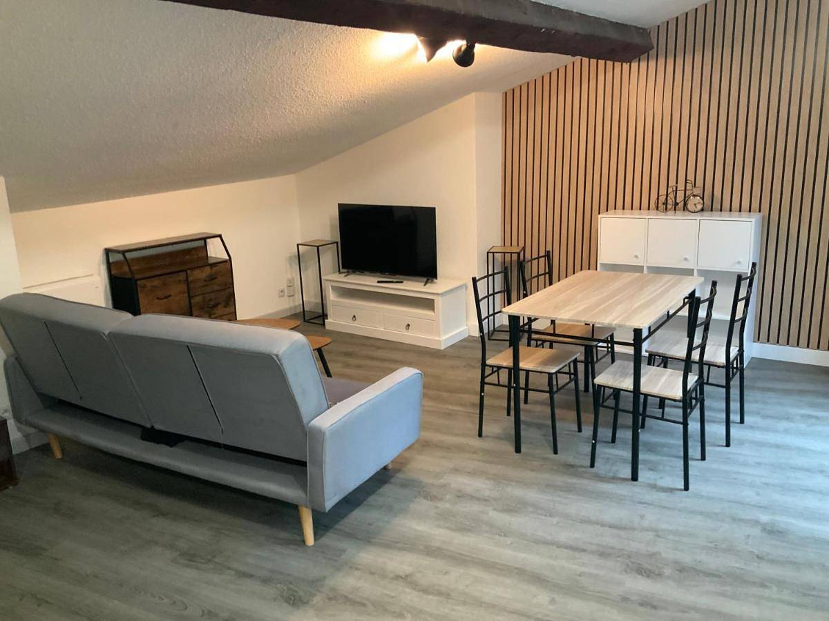 Appartement entier, Grand T3 Wifi 2 chambres 82m2 centre Foix stationnement devant le logement in Foix, Ariège