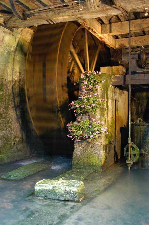 Chambre d’hôte pour 3 personnes, avec jardin et vue à Orges - 3