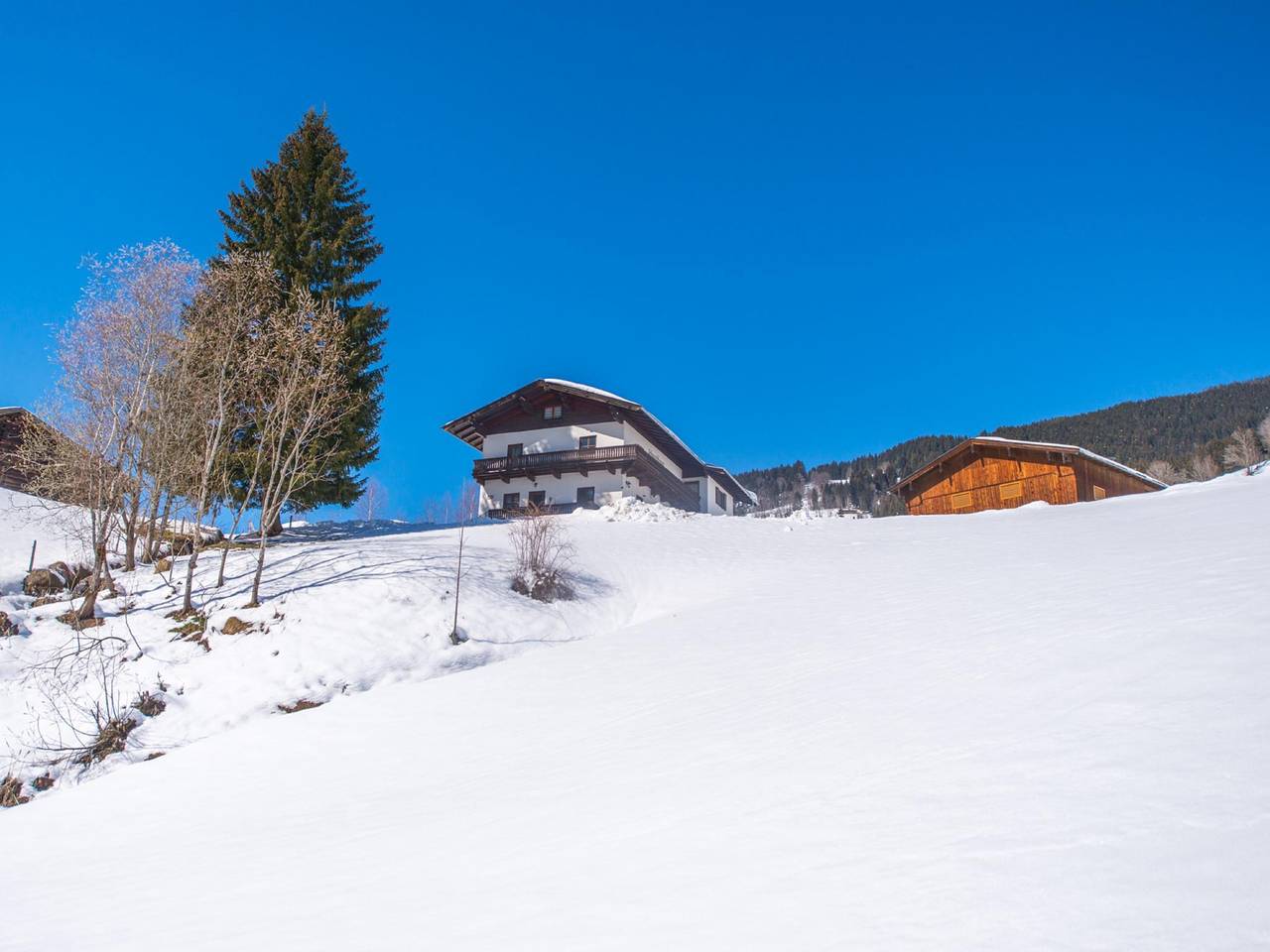 Vakantiehuis op 200 m van de piste in Saalbach, Saalbach-Hinterglemm